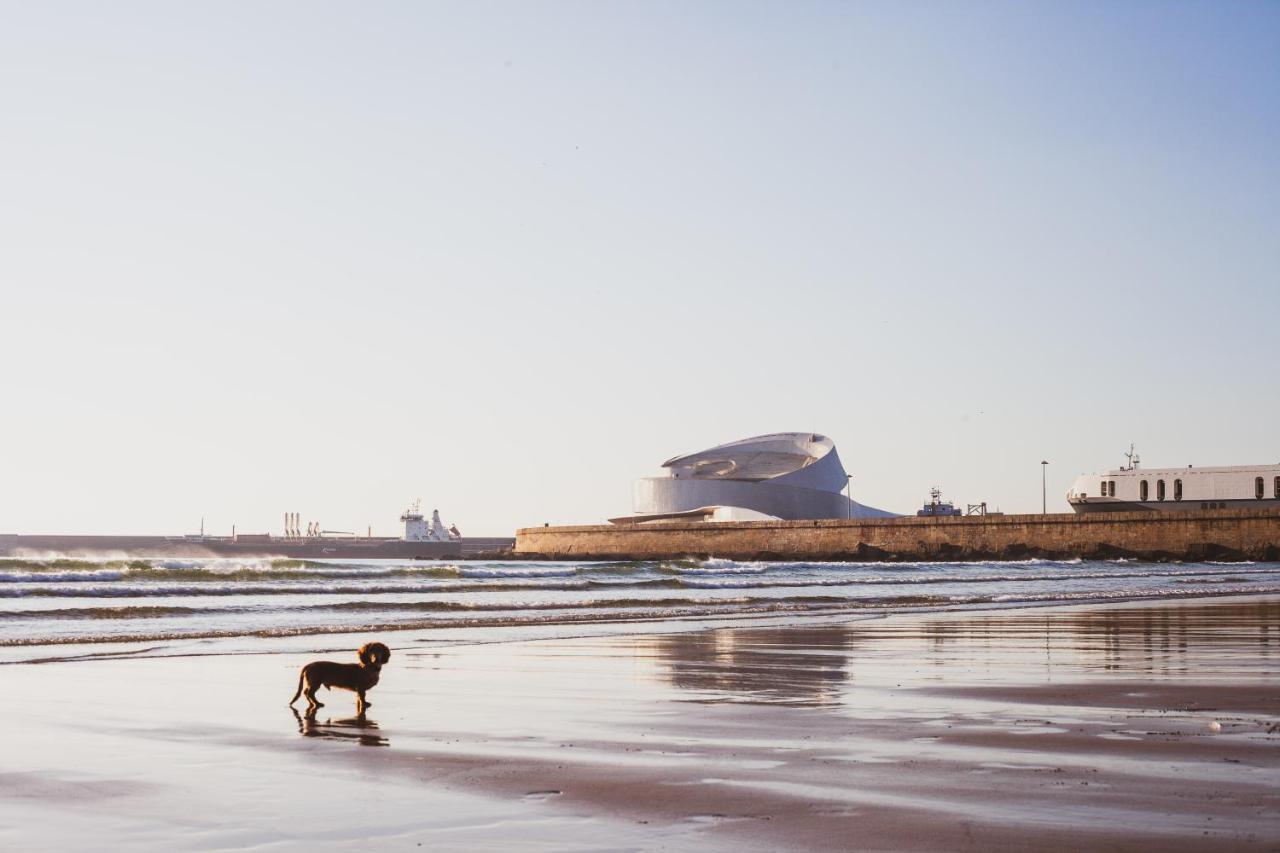 Oceanside Matosinhos - Ecohost Apartment Luaran gambar